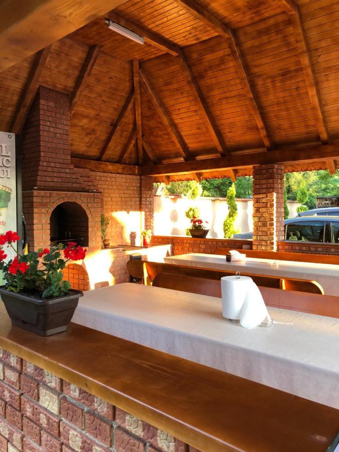 Casa Larisa Otel Chiscau Dış mekan fotoğraf