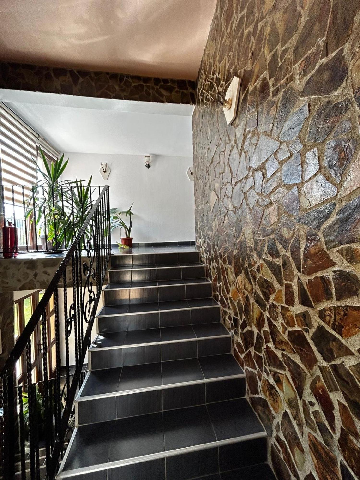 Casa Larisa Otel Chiscau Dış mekan fotoğraf