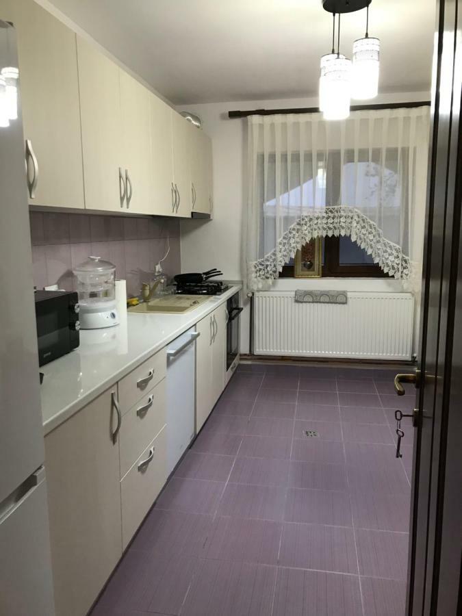 Casa Larisa Otel Chiscau Dış mekan fotoğraf