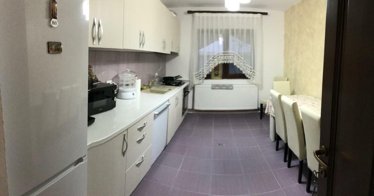 Casa Larisa Otel Chiscau Dış mekan fotoğraf
